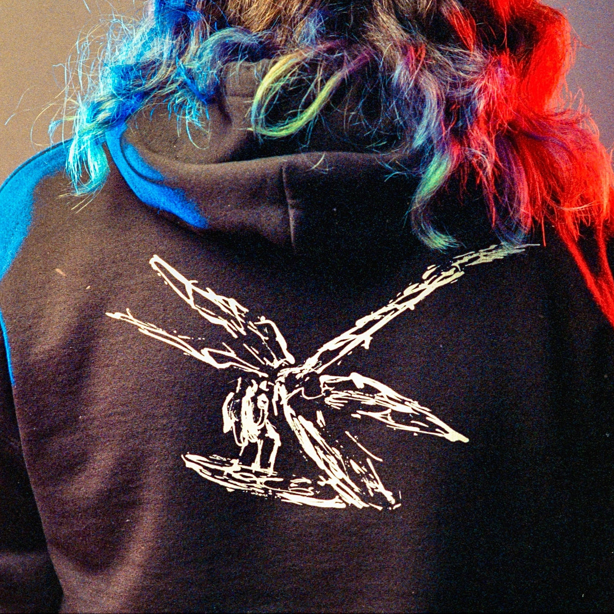 Person wearing a hoodie with a white dragonfly design on the back, colorful hair