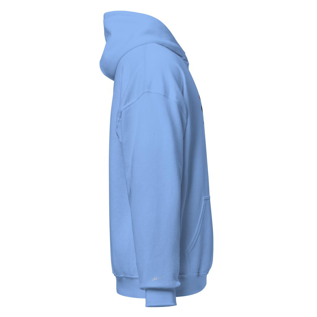 "Balancing Act" Unisex Frog Hoodie