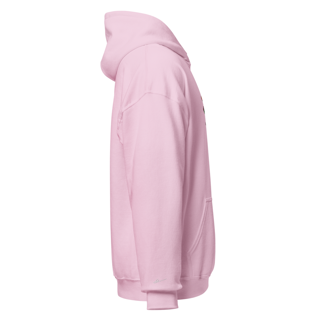 "Balancing Act" Unisex Frog Hoodie
