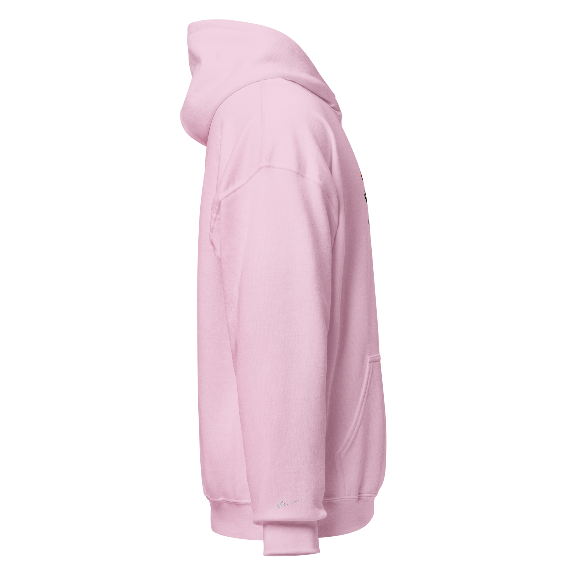 "Balancing Act" Unisex Frog Hoodie