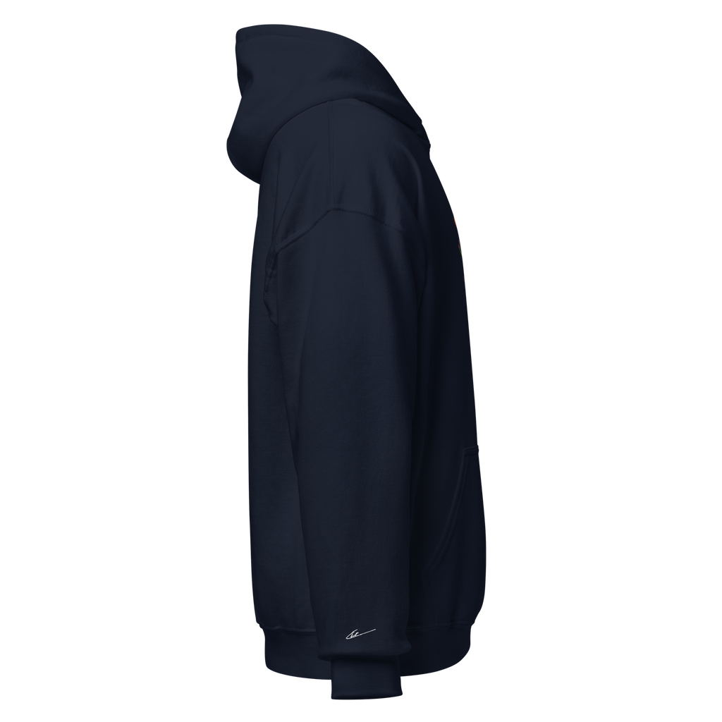 "Balancing Act" Unisex Frog Hoodie